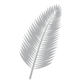 Palmblatt