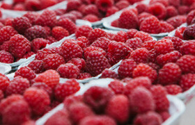 Obst und Gemüse