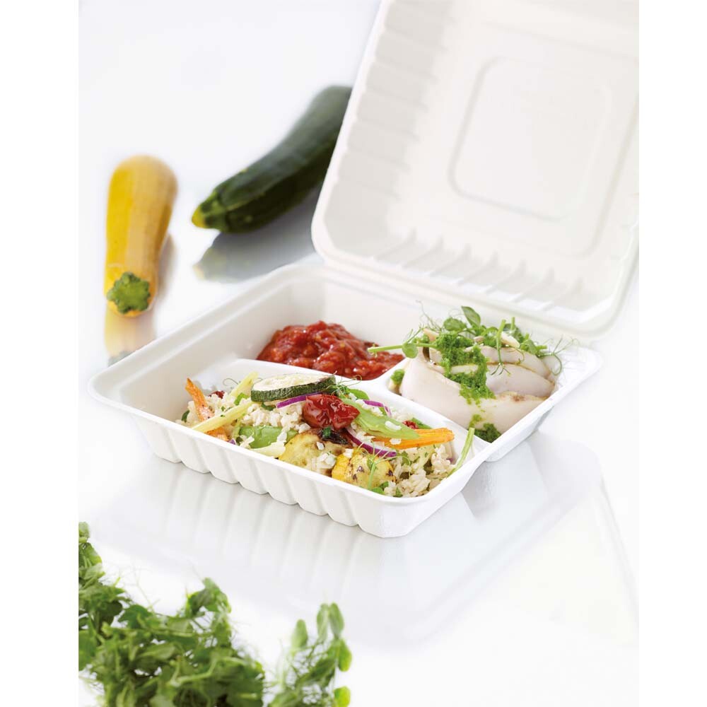 Bagasse-Boxen Menübox rechteckig 325 und 70 und 60 ml