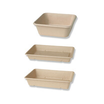 Bagasse - Schalen eckig