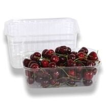 Beerenschalen-Kunststoff 500g, Modell F 500