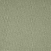 Bio Dunisoft-Servietten - 20 x 20 cm pistachio green
