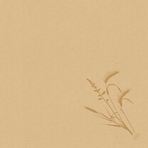 Bio Dunisoft-Servietten 40 x 40 cm 1-4 Falz Meadow natural Bio Dunisoft-Servietten 40 x 40 cm 1-4 Falz Meadow natural