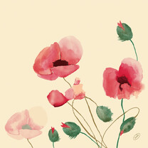 Bio Dunisoft-Servietten - 40 x 40 cm 14 Poppy Charm Bio Dunisoft-Servietten - 40 x 40 cm 14 Poppy Charm
