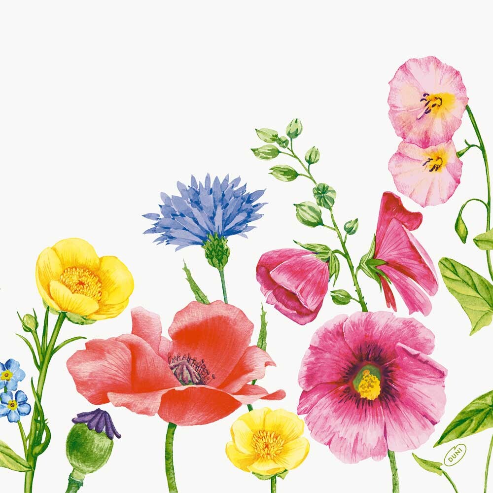 Bio Dunisoft Servietten 40 x 40 cm Flowy Meadow Bio Dunisoft Servietten 40 x 40 cm Flowy Meadow
