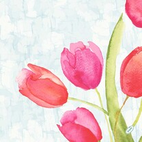 Bio Dunisoft - Servietten - 40 x 40 cm Painted Tulips Bio Dunisoft - Servietten - 40 x 40 cm Painted Tulips