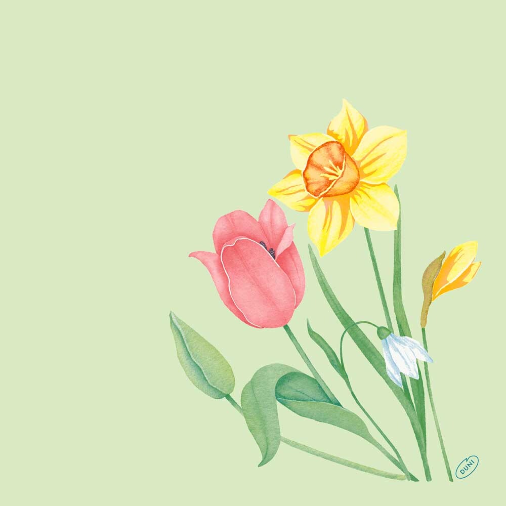 Bio Dunisoft Servietten 40 x 40 cm Spring Melody Bio Dunisoft Servietten 40 x 40 cm Spring Melody
