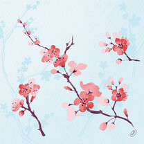 Duni Klassik-Servietten - 40 x 40 cm Cherry Breeze blue Duni Klassik-Servietten - 40 x 40 cm Cherry Breeze blue