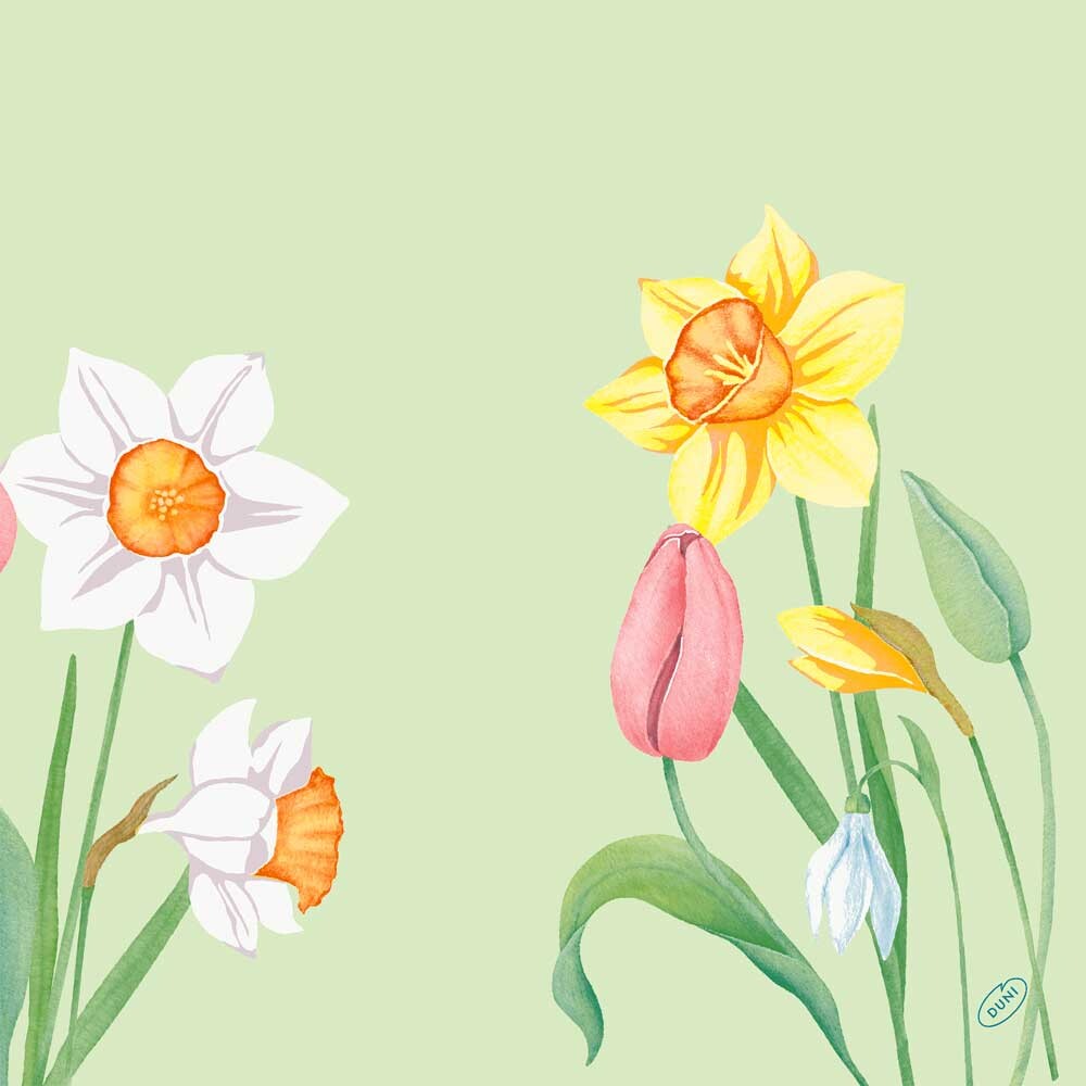 Duni Klassik-Servietten - 40 x 40 cm Spring Melody