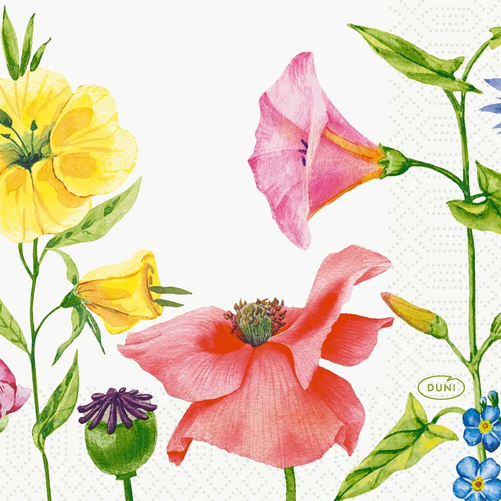 Duni Zelltuch-Servietten - 24 x 24 Flowy Meadow Duni Zelltuch-Servietten - 24 x 24 Flowy Meadow