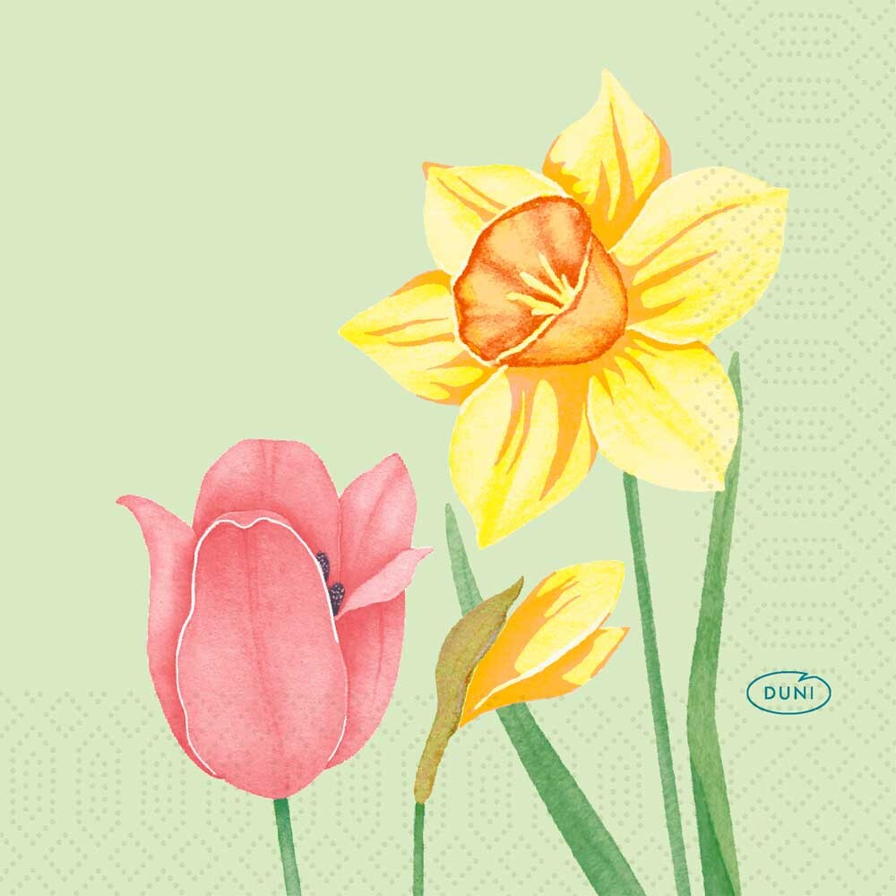 Duni Zelltuch-Servietten - 24 x 24 Spring Melody Duni Zelltuch-Servietten - 24 x 24 Spring Melody