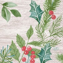 Duni Zelltuch-Servietten - 24 x 24 cm Winter Greenery 204453