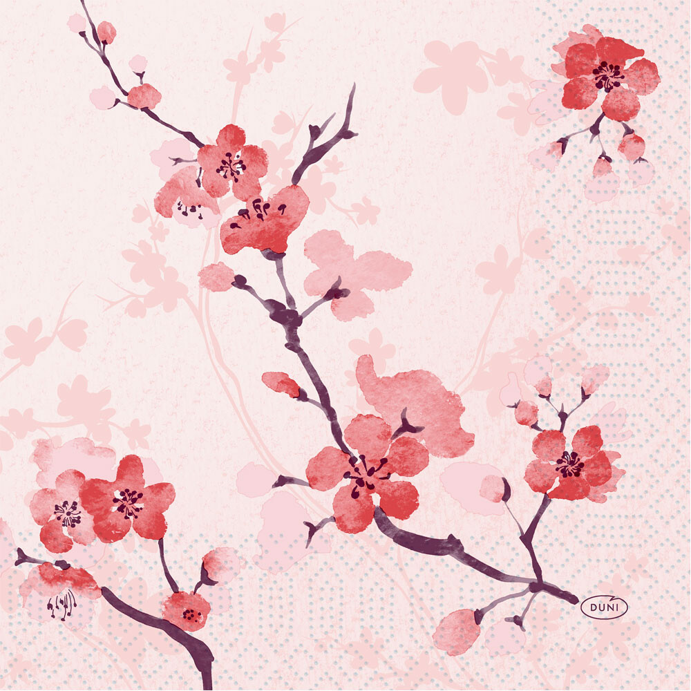 Duni Zelltuch-Servietten 33 x 33 cm Cherry Breeze rosa 50er Pack Duni Zelltuch-Servietten 33 x 33 cm Cherry Breeze rosa 50er Pack