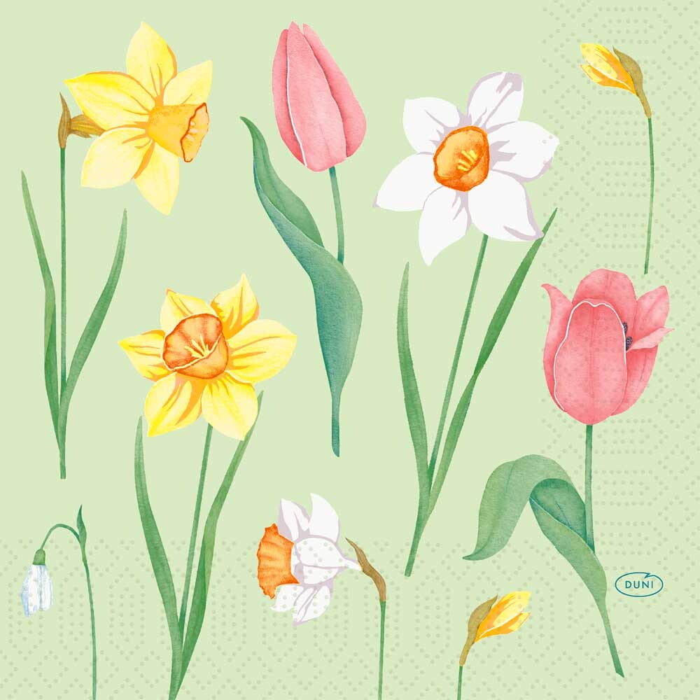 Duni Zelltuch-Servietten 33 x 33 cm Spring Melody 50er Pack Duni Zelltuch-Servietten 33 x 33 cm Spring Melody 50er Pack