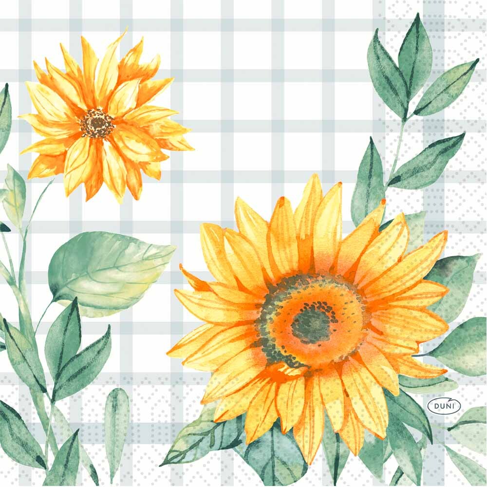 Duni Zelltuch-Servietten - 33 x 33 cm Sunflower Day 500 Stück Duni Zelltuch-Servietten - 33 x 33 cm Sunflower Day 500 Stück