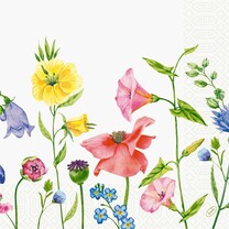 Duni Zelltuch-Servietten - 40 x 40 cm Flowy Meadow Duni Zelltuch-Servietten - 40 x 40 cm Flowy Meadow