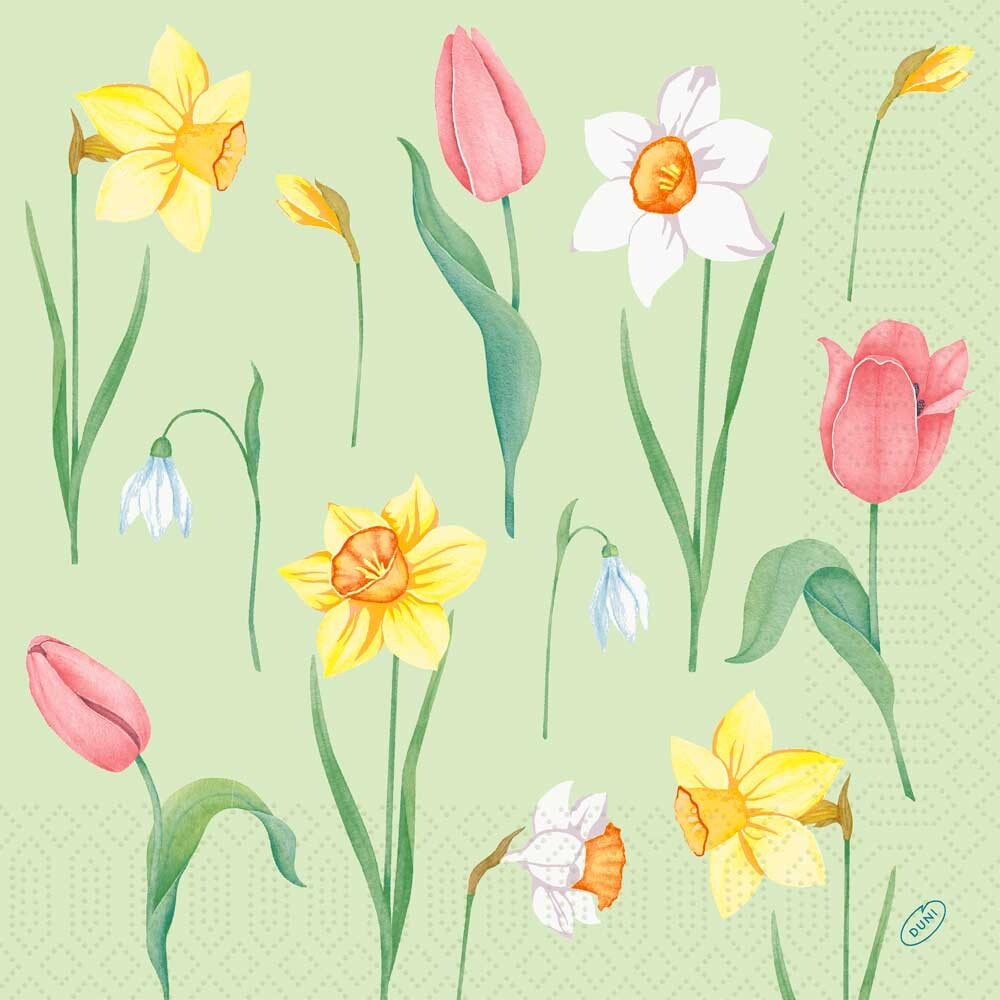Duni Zelltuch-Servietten - 40 x 40 cm Spring Melody Duni Zelltuch-Servietten - 40 x 40 cm Spring Melody