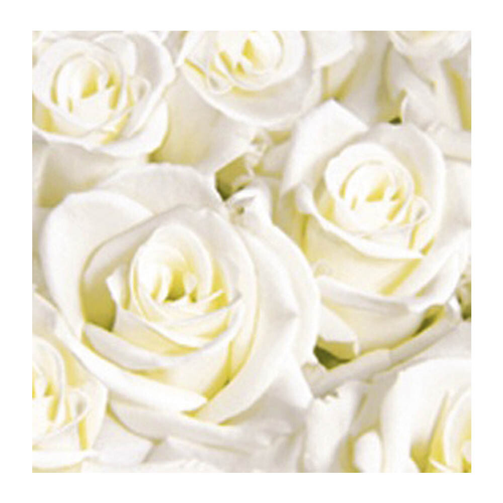 Dunisoft-Servietten - 40 x 40 cm 1-4 Falz White Dreams Dunisoft-Servietten - 40 x 40 cm 1-4 Falz White Dreams