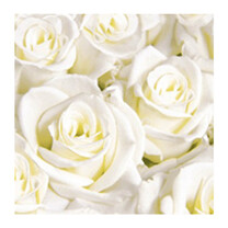 Dunisoft-Servietten - 40 x 40 cm 1-4 Falz White Dreams Dunisoft-Servietten - 40 x 40 cm 1-4 Falz White Dreams