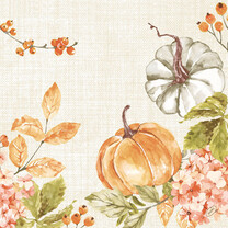 Dunisoft - Servietten Herbst Spicy Pumpkin Dunisoft - Servietten Herbst Spicy Pumpkin