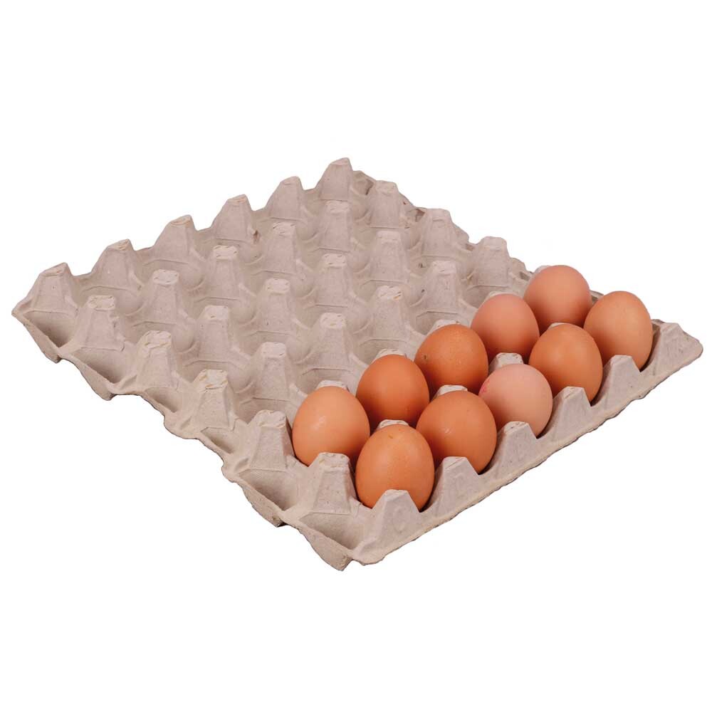 Eierverpackungen - Höckerlagen für 30 Eier Größe M Eierverpackungen - Höckerlagen für 30 Eier Größe M
