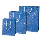 Exclusiv-Geschenktragetaschen blau - Weihnachten