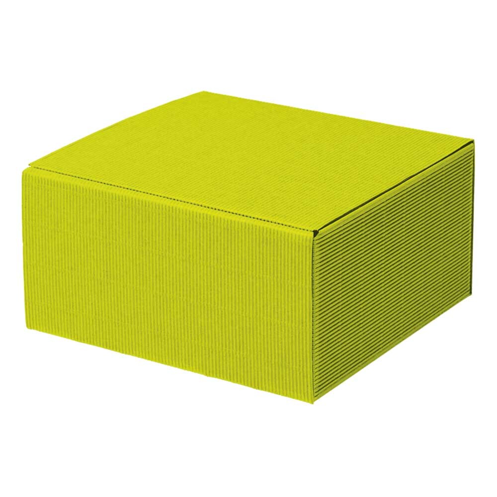 Feinkostkarton Allround limette