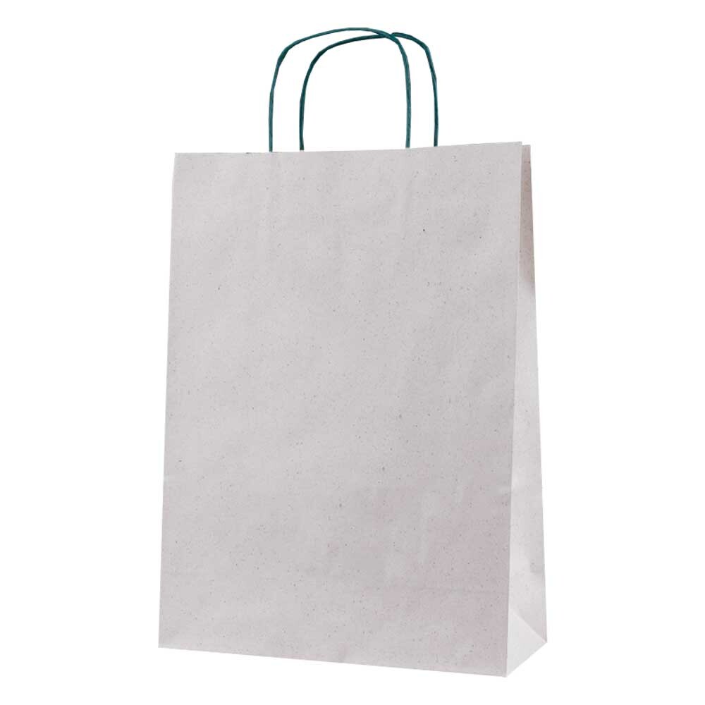 Geschenk-Tragetasche Graspapier ohne Druck groß Geschenk-Tragetasche Graspapier ohne Druck groß