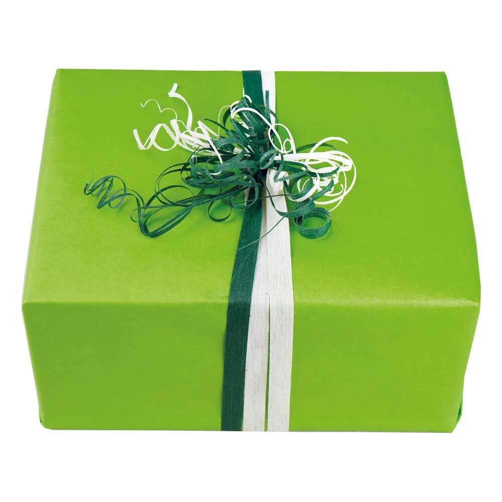 Geschenkpapier aus Kraftpapier weiß 70 cm hellgrün