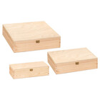 Holzkiste Naturfarben mit Scharnierdeckel Holzkiste Naturfarben mit Scharnierdeckel