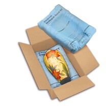 Instapak Quick® - RT Schaumverpackungen 54 x 68 cm