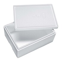 Isolierbox aus rEPS 10,5 l