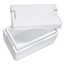 Isolierbox aus rEPS 4,7 l
