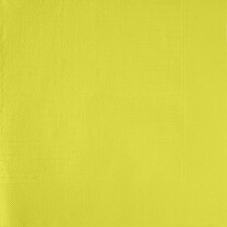 Duni Klassik-Servietten 40 x 40 cm Kiwi Duni Klassik-Servietten 40 x 40 cm Kiwi