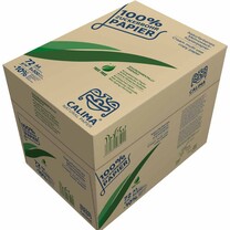 Kopierpapier A4 natur aus 100 % Zuckerrohrfaser 72 g/qm Kopierpapier A4 natur aus 100 % Zuckerrohrfaser 72 g/qm