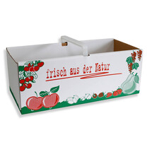 Obstkörbe 3 kg frisch aus der Natur mit Kunststoffgriff Obstkörbe 3 kg frisch aus der Natur mit Kunststoffgriff