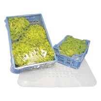 PE-Abdeckfolien-Zuschnitte transparent 4 Eckstanzungen 40 x 60 cm
