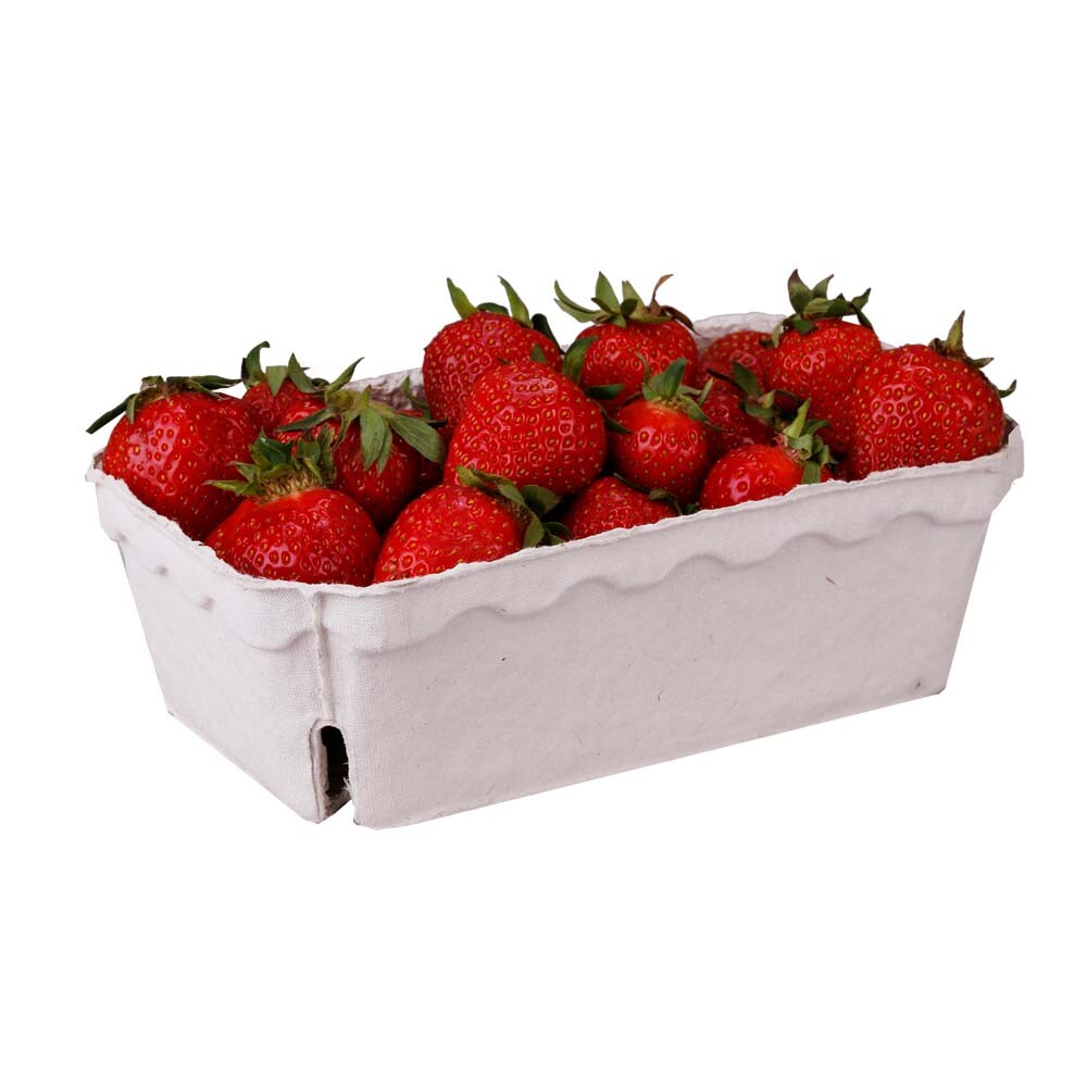 Rechteckige Beerenschale Holzschliff unbedruckt 500 g 183x113x59 cm Rechteckige Beerenschale Holzschliff unbedruckt 500 g 183x113x59 cm