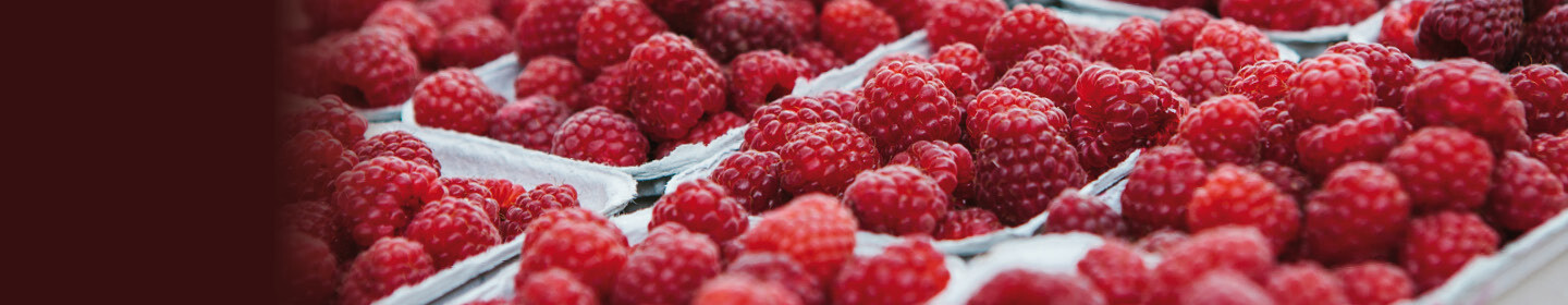 Frische Ideen für Obst und Gemüse Frische Ideen für Obst und Gemüse